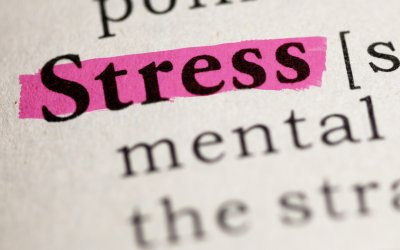 What happens to your body when you are stressed for prolonged periods of time?